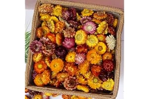 Natural Dried Flowers for Crafts, 45-60 Pcs Mixed Daisies & Sunflower Heads, Chrysanthemum Petals for Candle Making, Wreaths,