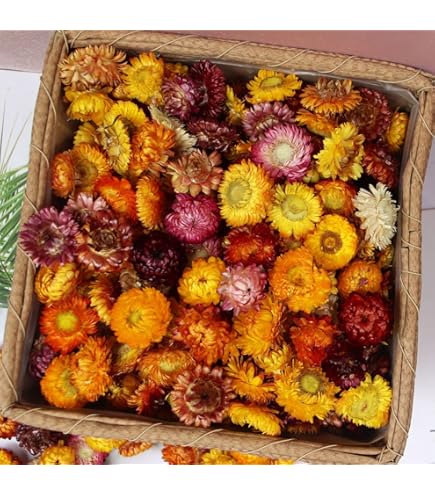 8-Quart Digital Air Fryer