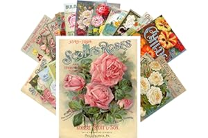 PIXILUV Vintage PostCards 24 pcs Flowers Vintage Gardens and Roses