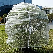 Filet De Protection Pour Arbres Fruitiers - Lot De 2 - 2,4x2,4 M - Anti-oiseaux Et Insectes - Fermeture éclair