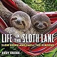 Life in the Sloth Lane: Slow Down and Smell the Hibiscus