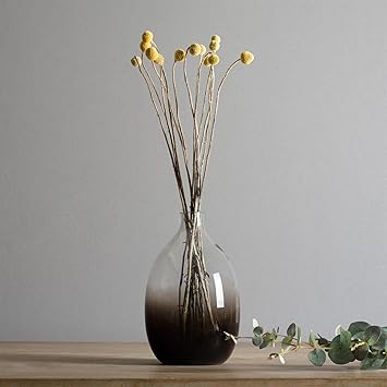 Buy Casamotion Brown Ombre Vase Hand Blown Art Glass Organic