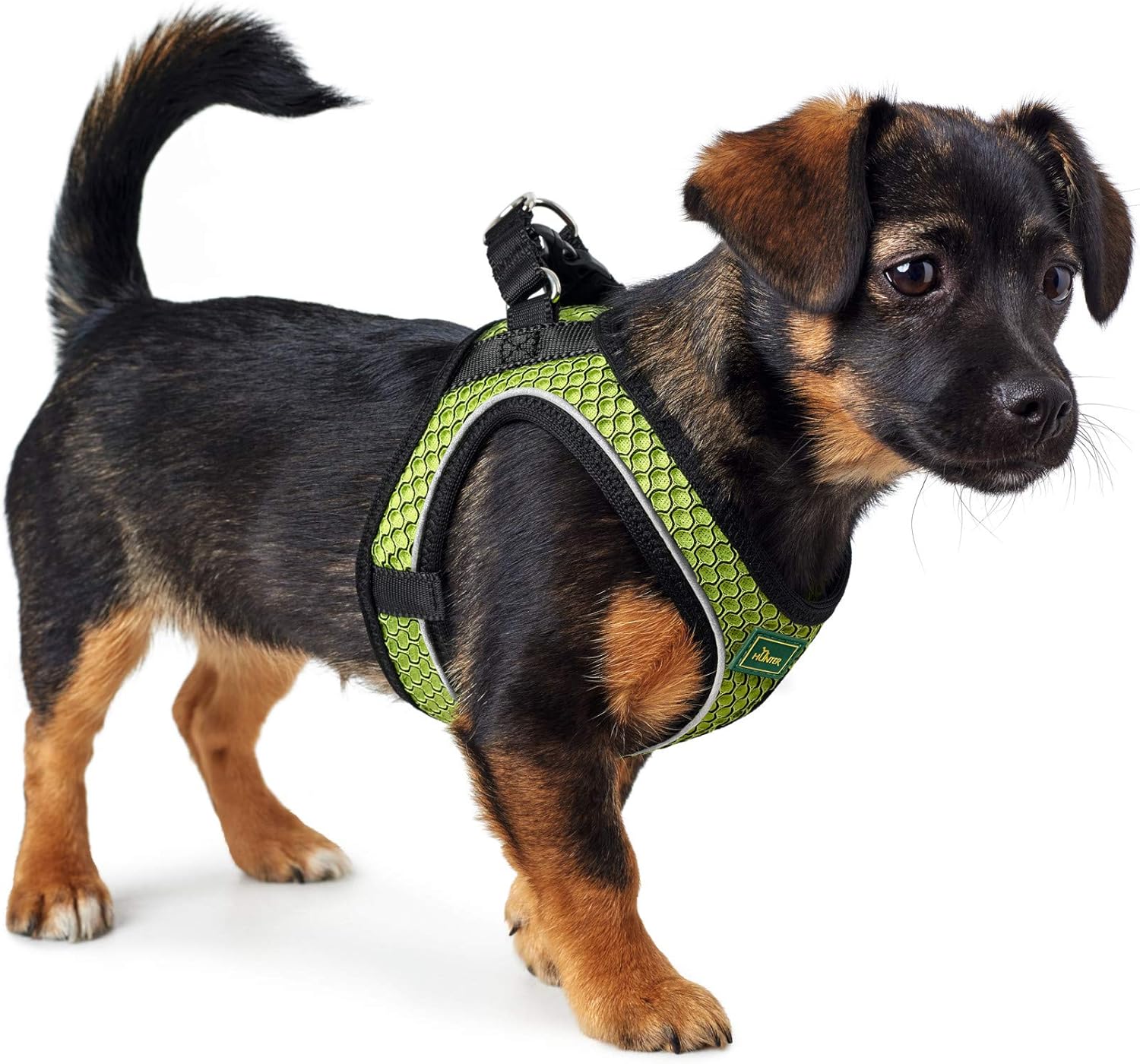 Hunter - Wire Harness Comfort S-M Lima, lime - Image 5