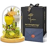 Preserved Flowers Gifts for Women Eternal Rose In Glass Dome Light Up Flower Real Rose Eternal Flowers for Decoration Long Lasting Forever Preserved Glitter Roses Unique Gift on All Occasions(Yellow)