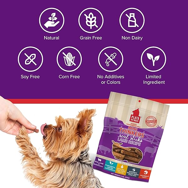 PLATO PET TREATS THINKERS – MEAT STICK TREATS FOR DOGS – LIMITED INGREDIENT DOG TREATS WITH EPA AND DHA TO SUPPORT SKIN, COAT, AND BRAIN – AIR-DRIED DOG TREATS – MINI THINKERS LAMB 3OZ