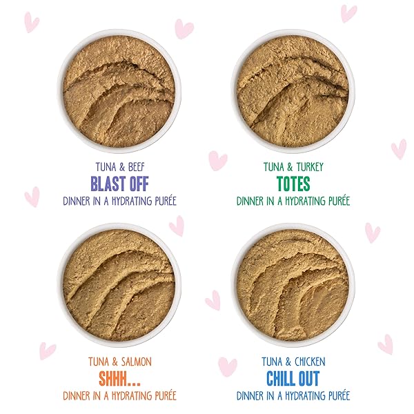 WERUVA B.F.F. PLAY – BEST FELINE FRIEND PATÉ LOVERS, AW YEAH!, PATÉ PARTAY! VARIETY PACK, 3OZ POUCH (PACK OF 12)