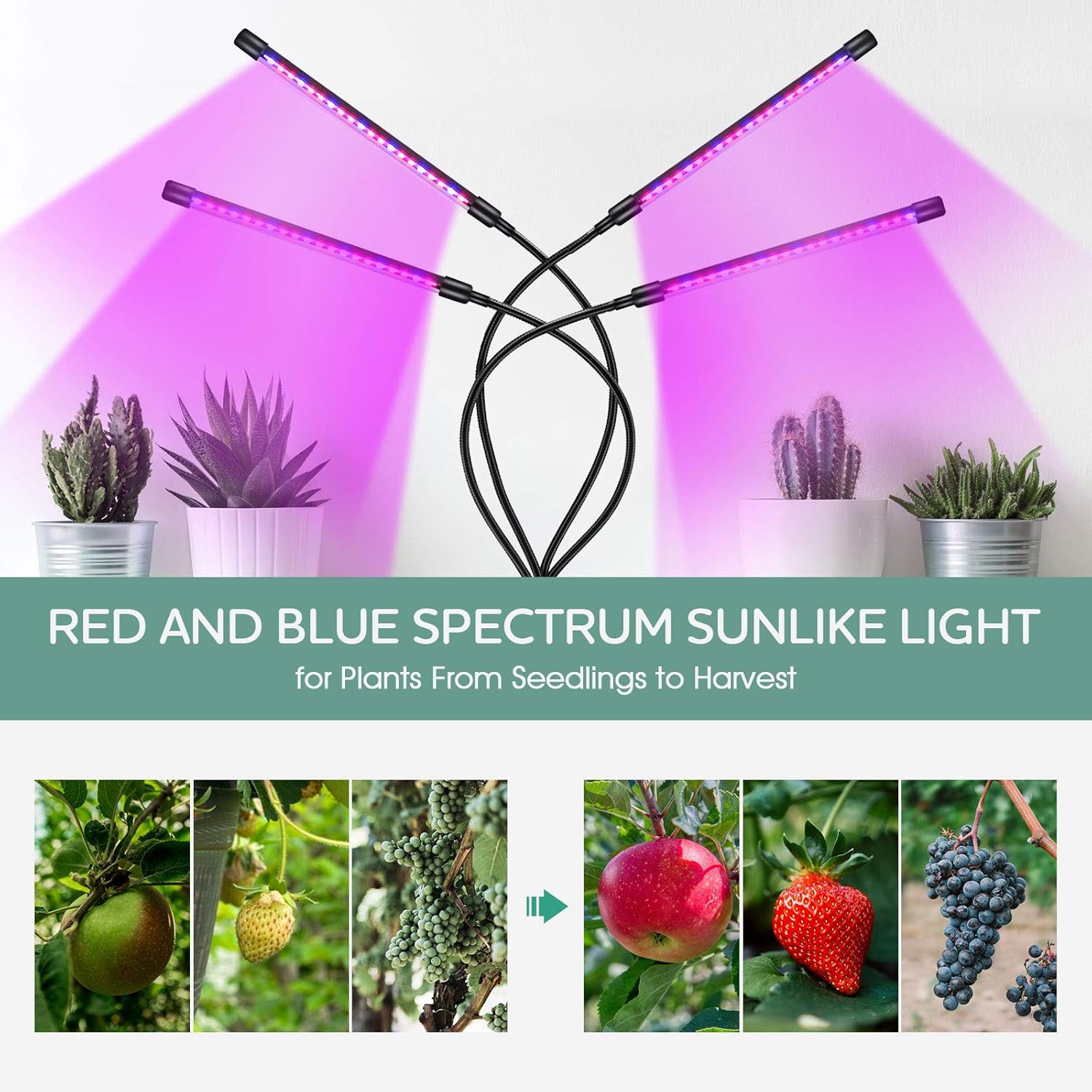 360° Grow Light for Indoor Plants - Gooseneck Red and Blue Spectrum Growing Lamp Strip w/ 3 Modes 9 Dimmable Brightness 3/9/12 H Timer Ideal for Greenhouse Plants Flowers Veg Succulents Potted Growth: Home Improvement