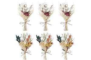 Auidy_6TXD Mini Dried Flowers Bouquet Set of 6 Boho Dried Flowers Bridesmaid Bouquet Dry Flowers Table Centerpieces Bridesmaid Flower Girl Gift Box for Boho Wedding, Birthday Cake Table Bottle Decor
