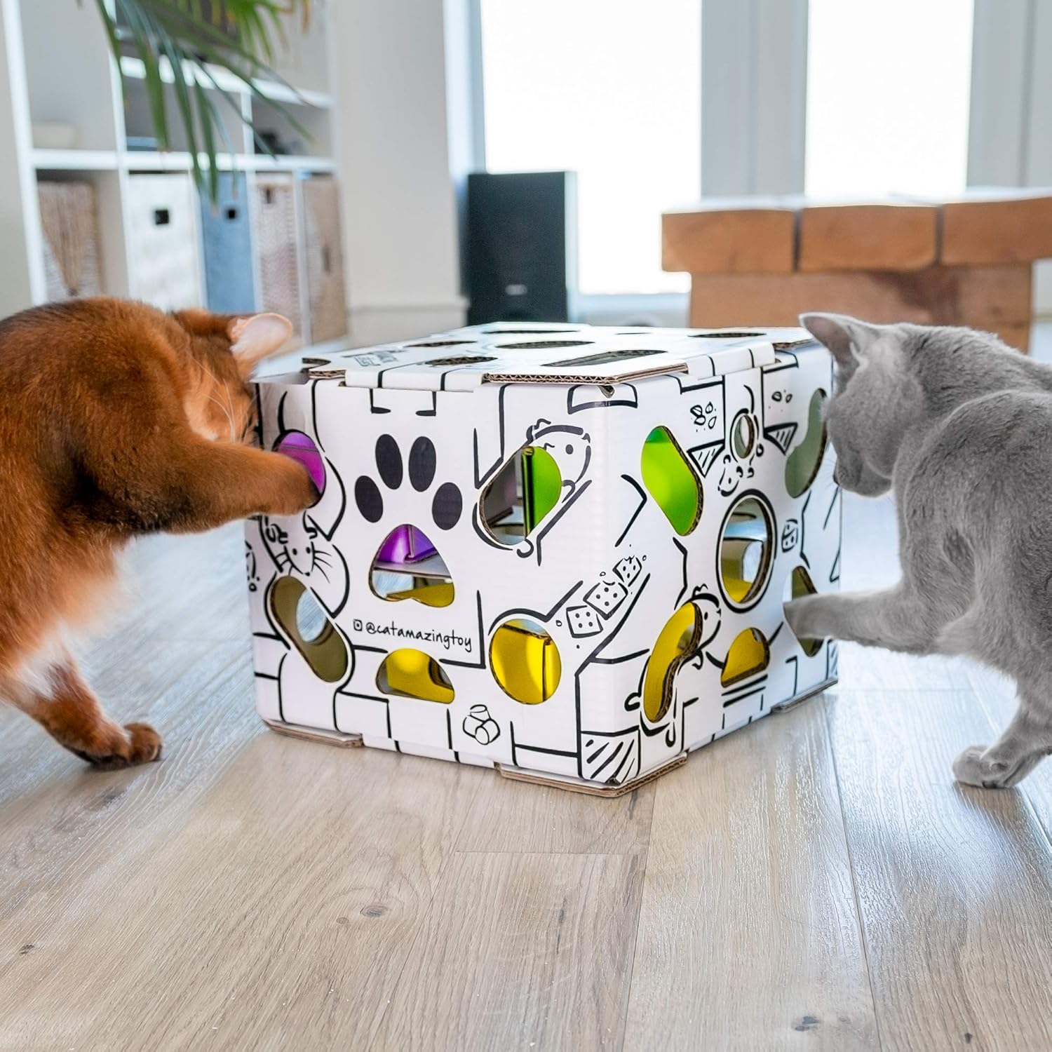 Cat Amazing Sliders – Interactive Treat Puzzle Cat Toy – Active Food Puzzle Feeder : Pet Supplies