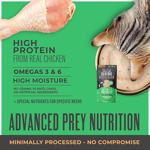 TIKI CAT SOLUTIONS MOUSSE WET CAT FOOD, DENTAL, CHICKEN RECIPE IN BROTH, 2.4 OZ. POUCH