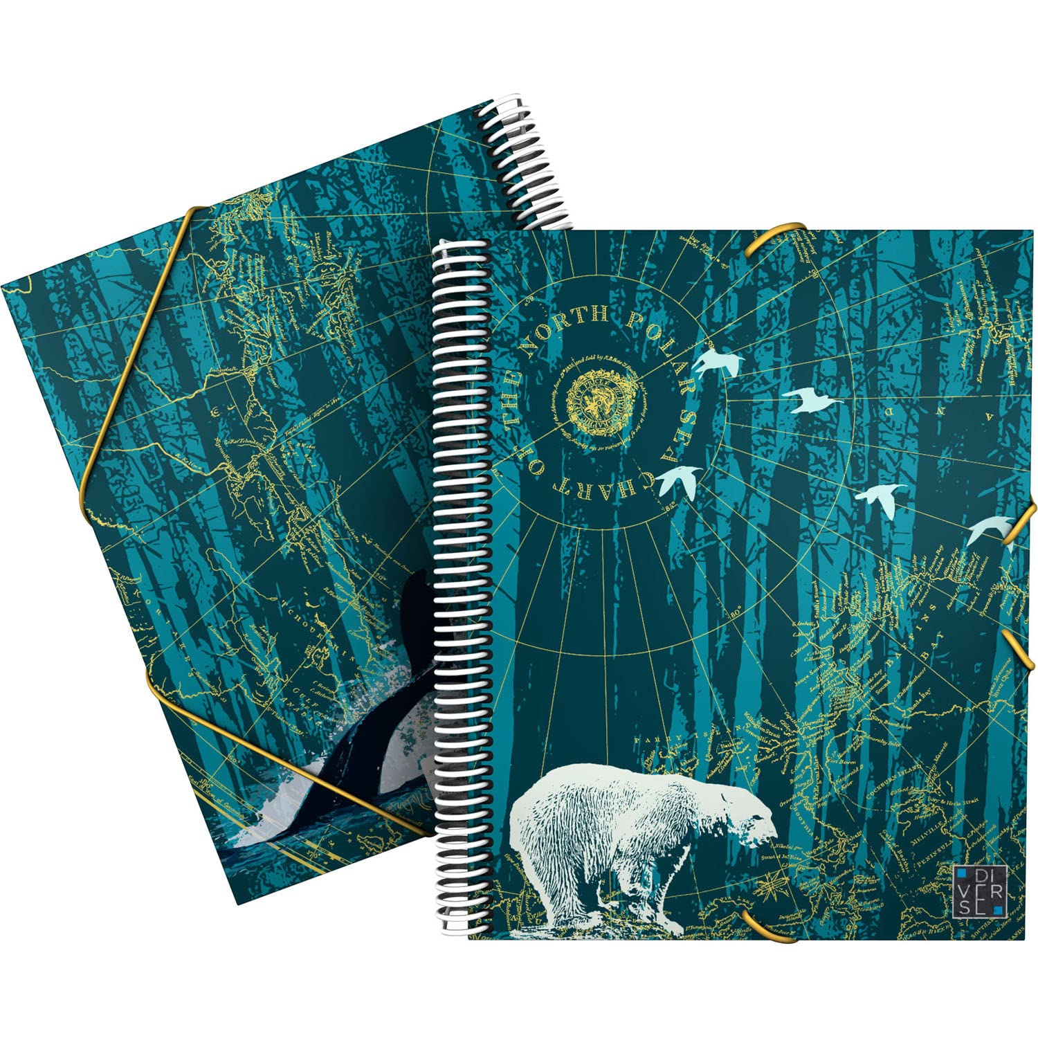 Grafoplás 39822450 A4 Spiral Folder, Various Collections, North Polar, Polypropylene Cover, Elastic Closure, 30 Transparent Pockets, Includes Envelope with Textile Closure, 39822450