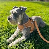 Joytale Step in Dog Harness Soft Mesh Reflective Easy Walk M Brown view 2