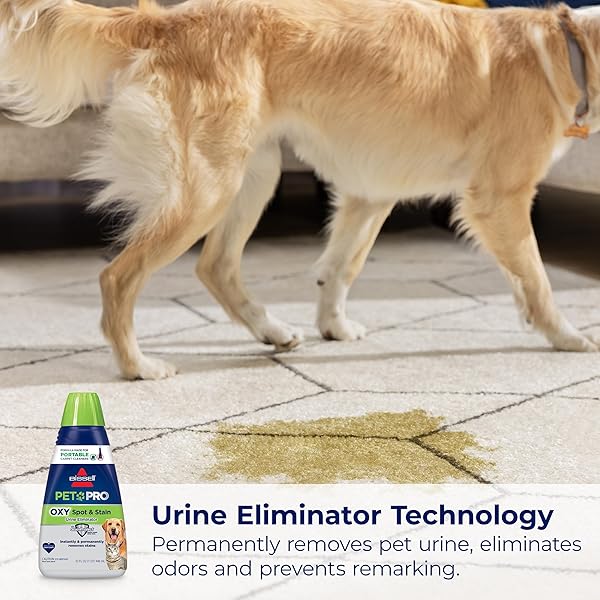 BISSELL PET PRO OXY SPOT & STAIN FORMULA FOR PORTABLE CARPET CLEANERS, 32 OZ., 2034