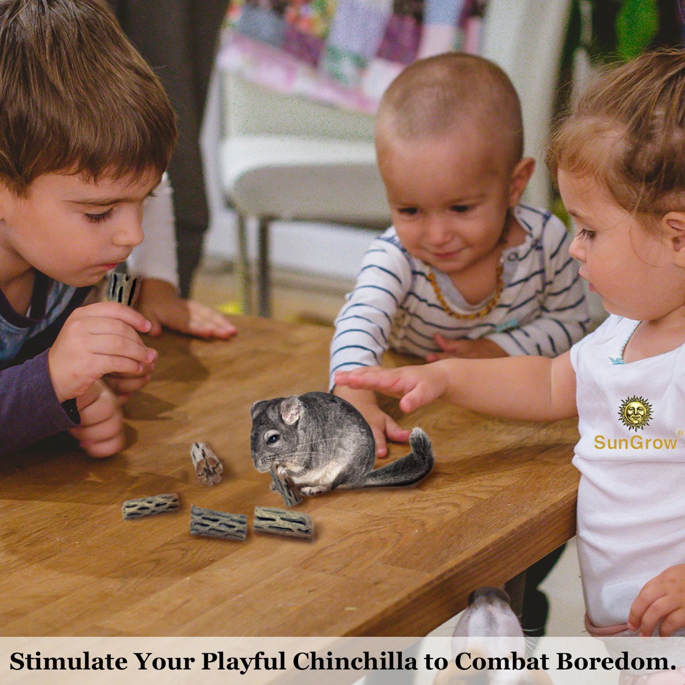 6-pcs Natural Cholla wood for Chinchillas by SunGrow - 100% Organic soft wood, Chemical-free, thorn-free - Keeps Chinchilla teeth healthy - Chew toy for ferrets, guinea pigs, gerbils, mice, hamsters