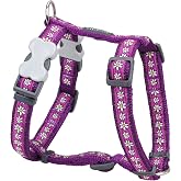 Red Dingo Designer Dog Harness, Medium, Daisy Chain Purple