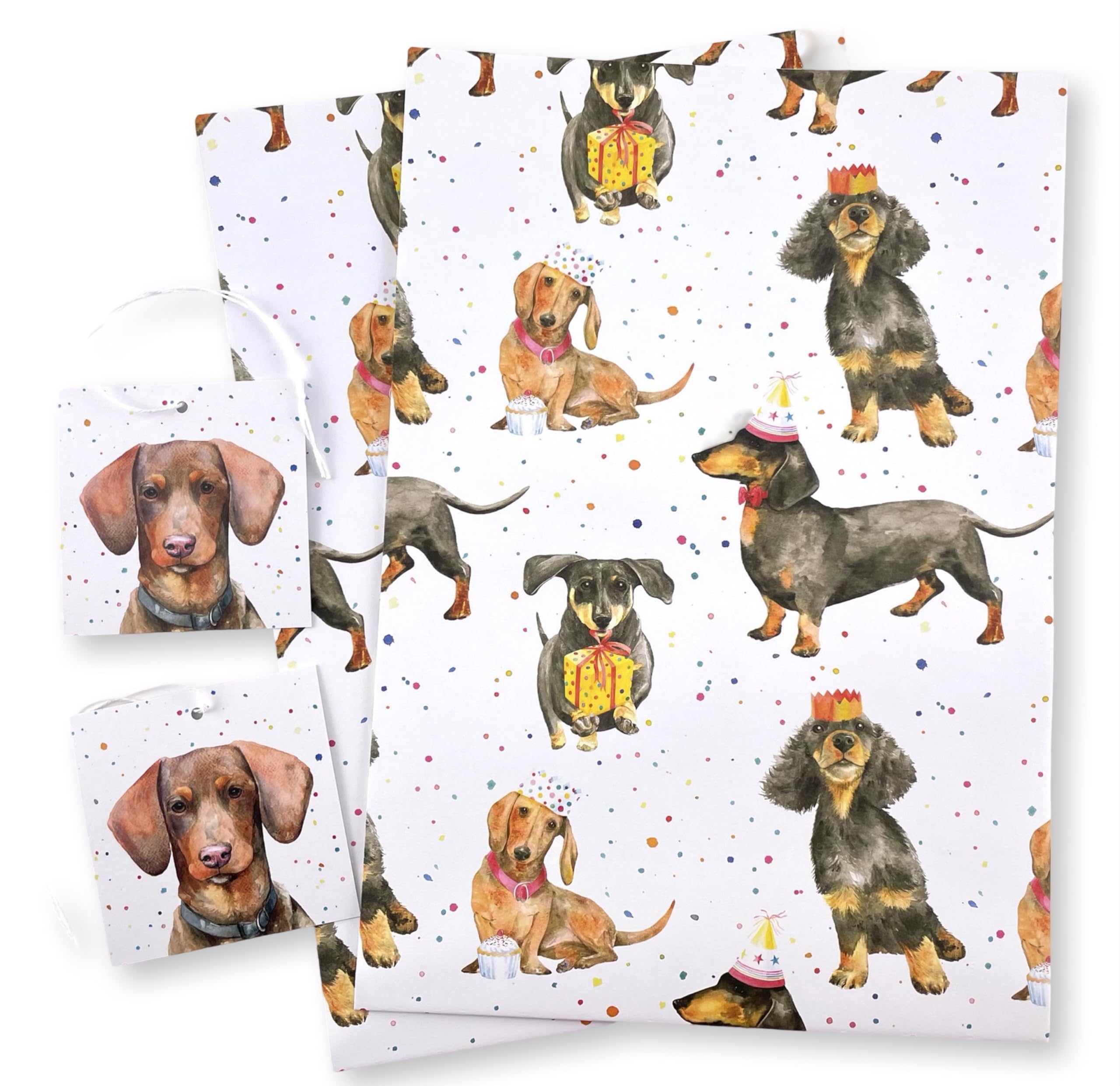 Dachshund Fun Recycled and Recyclable Eco Printed Gift Wrapping paper - 2 sheets - 2 tags