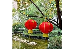 KYMY 2024 Chinese Red Lanterns, 2pcs Red Hanging Round Decorative Chinese Dragon Luna Year Lanterns for Chinese New Year, Spring Festival,Lantern Festival, Wedding Celebration-12"/30cm