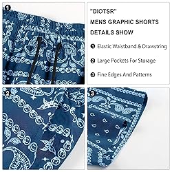 DIOTSR Mens Paisley Casual Shorts Retro Graphic