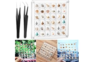 Vodolo Acrylic Magnetic Seashell Display Box,Clear Sea Shell Holder Display Box,Beach Shelling Collecting Tools,Magnet Storage Organizer Tiny Case for Seashell Diamond Beads (1 Pack-36 Grids)