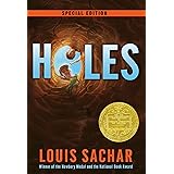 Holes (Holes Series)