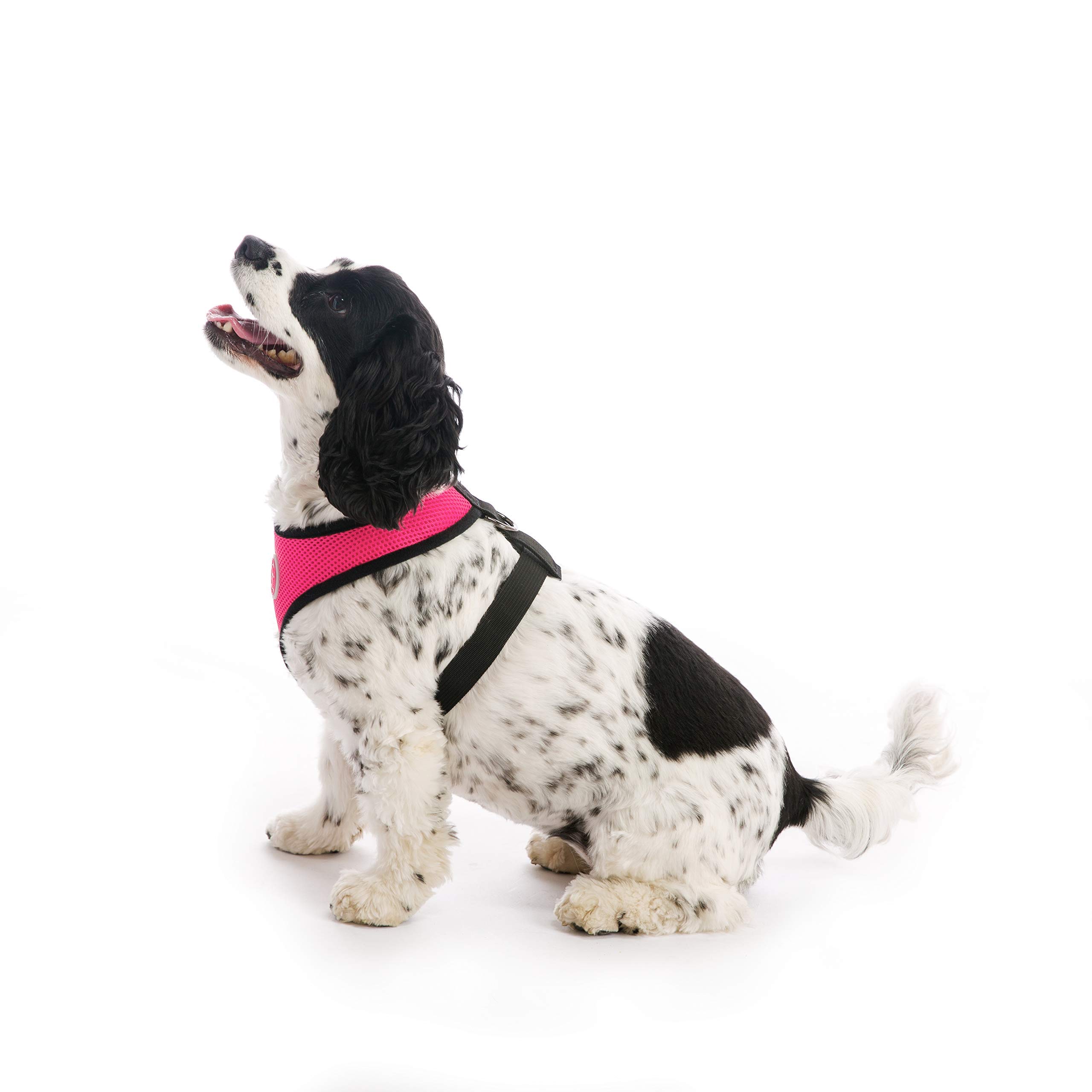 Product Photo 4