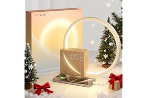 Vivilumens Sunrise Alarm Clock for Heavy Sleepers Adults, Wake-up Light, Sleep Aid 10 White Noise Sound Machines with 30/60/90 Timer, 3 Level Dimmable Touch Table Lamp with Snooze USB Charger Port