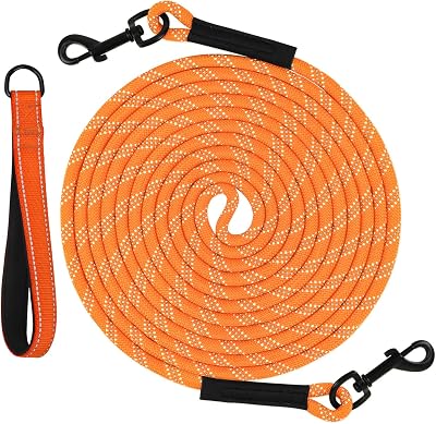 Taglory Training Lead for Dogs 10 m Reflective Nylon Orange