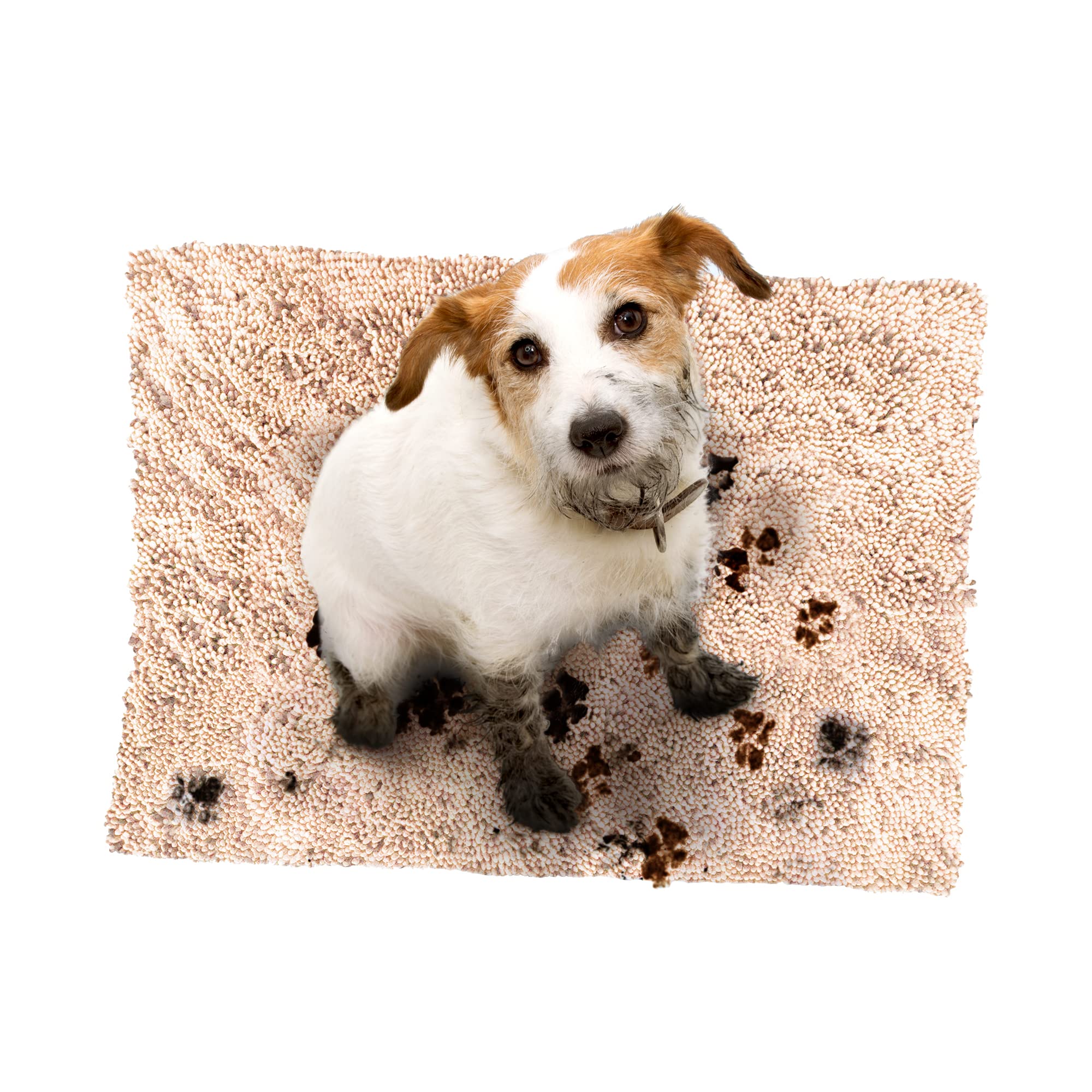 Soggy Doggy Microfiber Chenille Doormat for Wet Dog Paws, Large 26 x 36 Inch, Beige No Bone