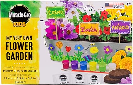 Amazon Com Miracle Gro Kids My Very Own Flower Garden By Horizon