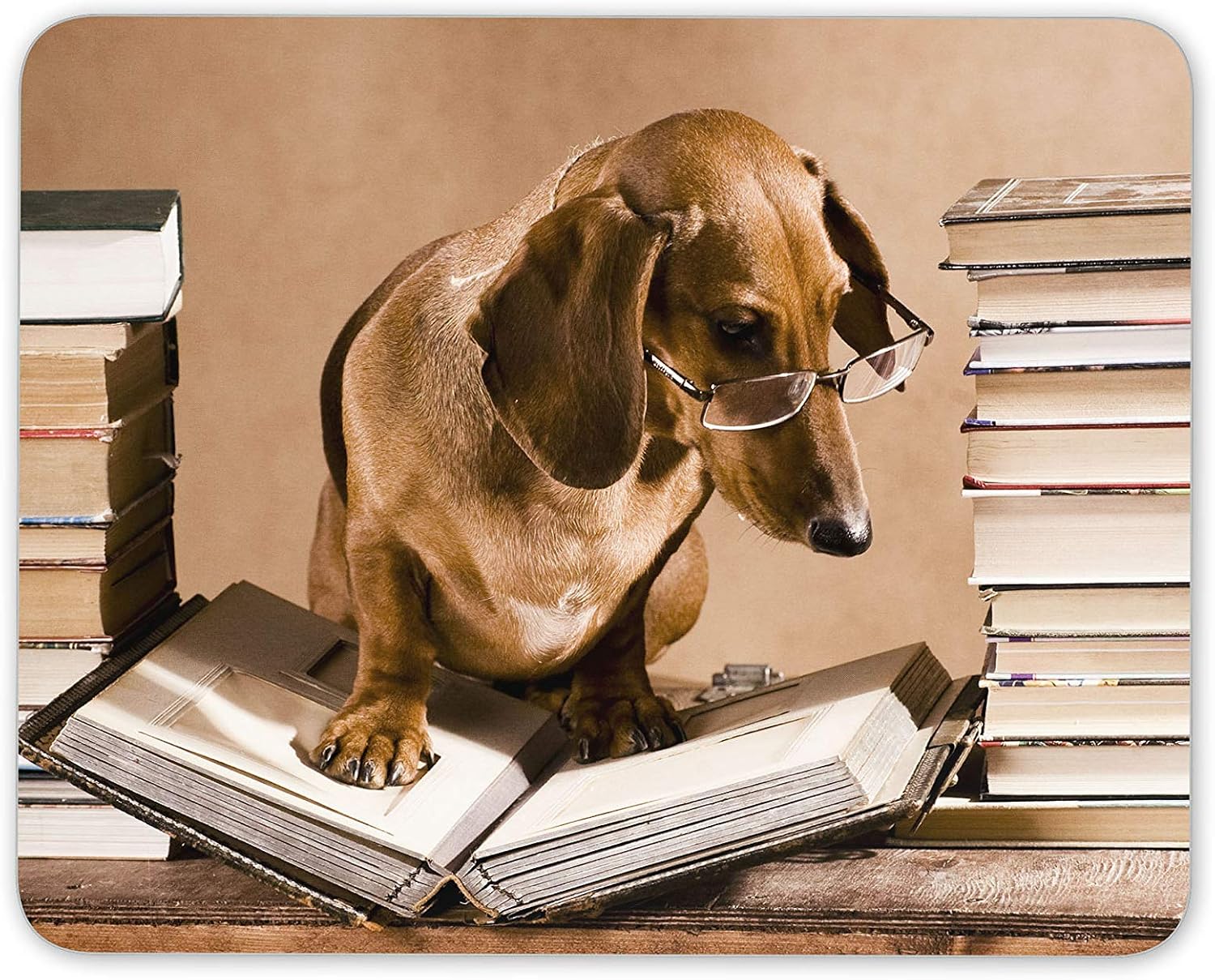 Destination Vinyl Ltd Dachshund Book Worm Mouse Mat Pad - Sausage Dog Puppy Funny Computer #15224, Multicolor, 23.5cm x 19.6cm x 5mm