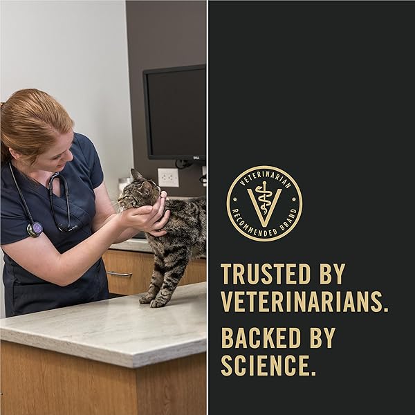 PURINA PRO PLAN ALLERGEN REDUCING, HIGH PROTEIN CAT FOOD, LIVECLEAR SALMON AND RICE FORMULA