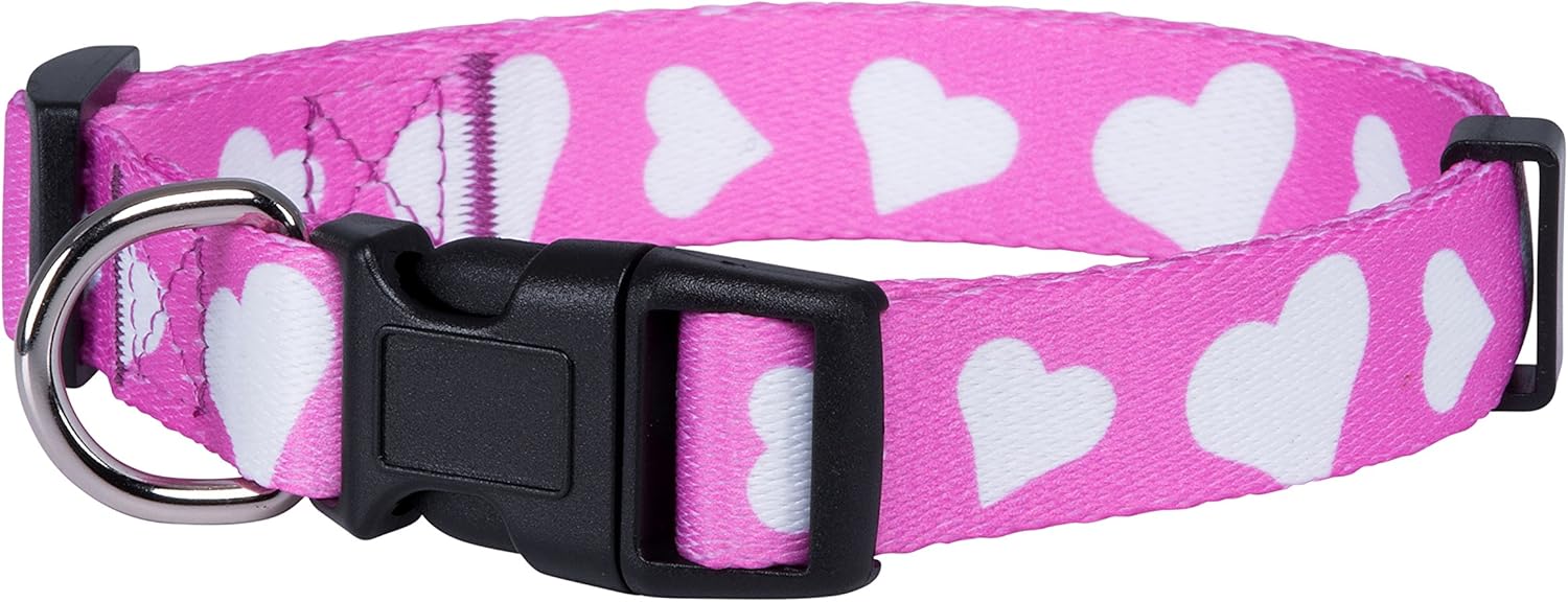valentines dog collar