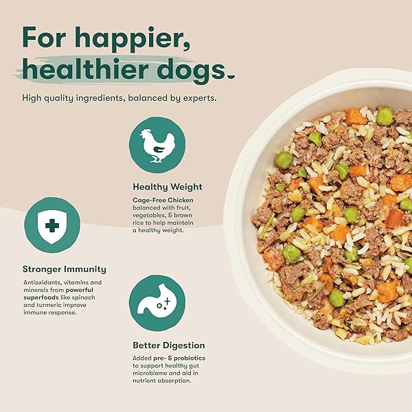 JINX WET DOG FOOD TOPPER, MIX WITH DRY DOG FOOD, MADE WITH REAL CHICKEN, BONE BROTH & BROWN RICE, NO FILLERS, FOR ALL LIFESTAGES, 9OZ, 1 PACK