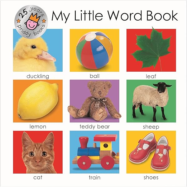 Amazon.com: My Little Word Book (My Little Books): 9780312493875