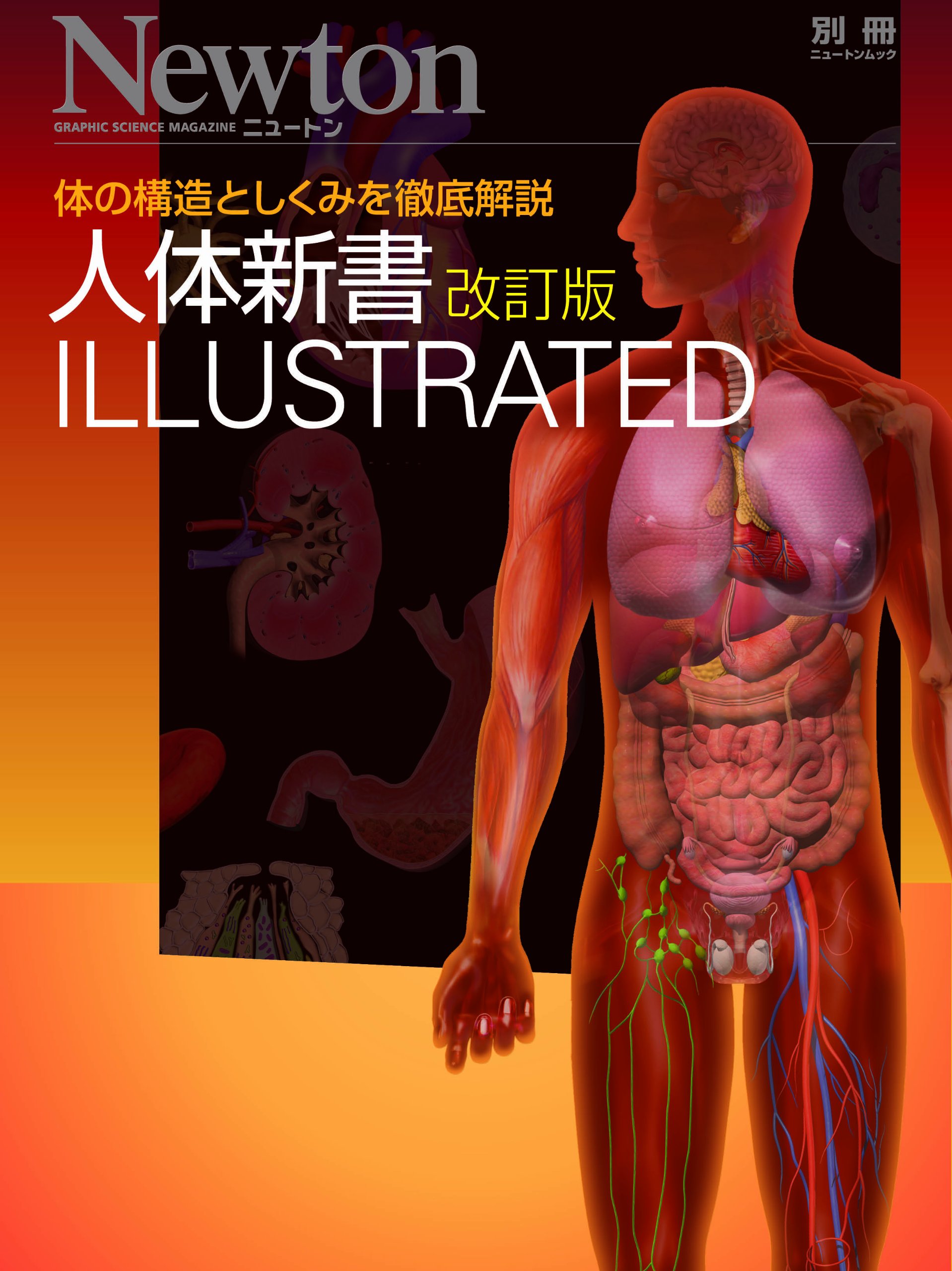 人体新書illustrated 体の構造としくみを徹底解説 ニュートンムック Newton別冊 本 通販 Amazon 人体新書illustrated 体の構造としくみを徹底解説 ニュートンムック Newton別冊 本 通販 Amazon