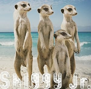 ޡ/Shiggy Jr.