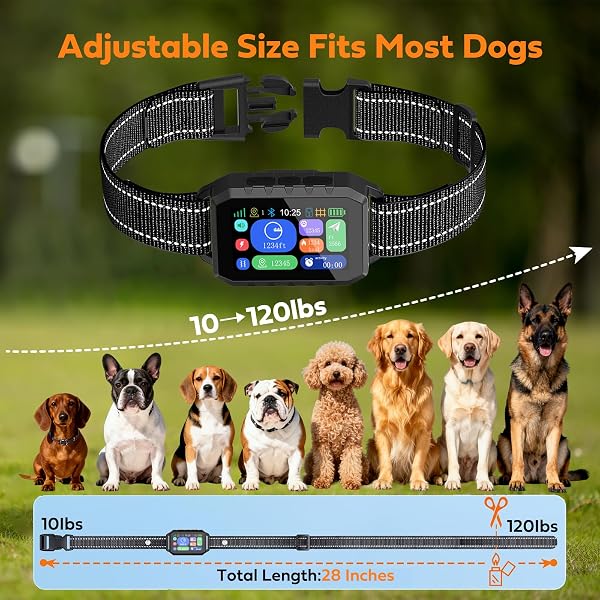 ZIGTIGER GPS WIRELESS DOG FENCE & TRAINING COLLAR SYSTEM, FREE APP/REMOTE CONTROLLED CUSTOM BOUNDARY UP TO 7000FT, BEEP/VIBRATION/SAFE CORRECTION MODES, EARLY ALERT, WATERPROOF FOR DOGS 10+ LBS