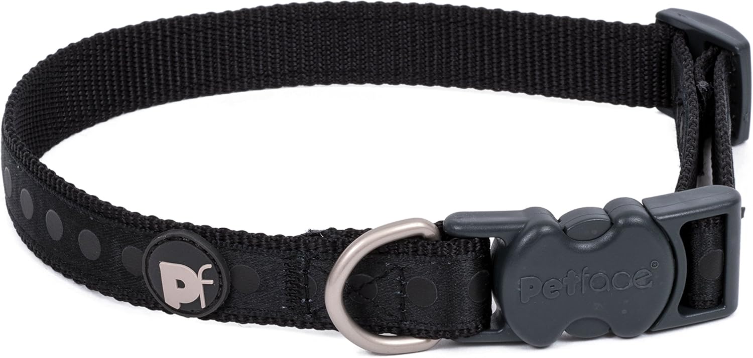 dog tags free shipping