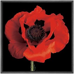 SIGNWIN Framed Canvas Wall Art Red Poppy Floral...