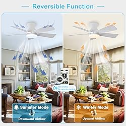 Depuley Modern Ceiling Fan with Light: 35-Inch
