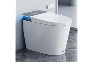HOROW Artistic Bidet Toilet, Smart Toilet with ADA Chair Height, MAP 1000g Powerful Flush, Auto Open/Close Lid, Instant Warm Water, Elongated Heated Seat, Deodorization