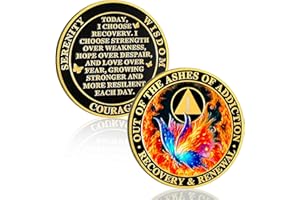 YRCKUDZKG Butterfly in The Fire 1 Year Sobriety Coin Recovery & Renewal One Year Sobriety Chip AA Chips and Medallion AA Coin Recovery Anniversary Token Sobriety Gifts for Men Women Alcoholics Anonymous Gift