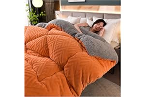 SayfuR Super Warm Double-Sided Velvet Quilt Plush Comforter, Lamb Cashmere Warm Quilt Core, Thickened Double-Sided Plush Comforter, Thick Wintering Warm Quilt,Orange,200x230cm/4kg