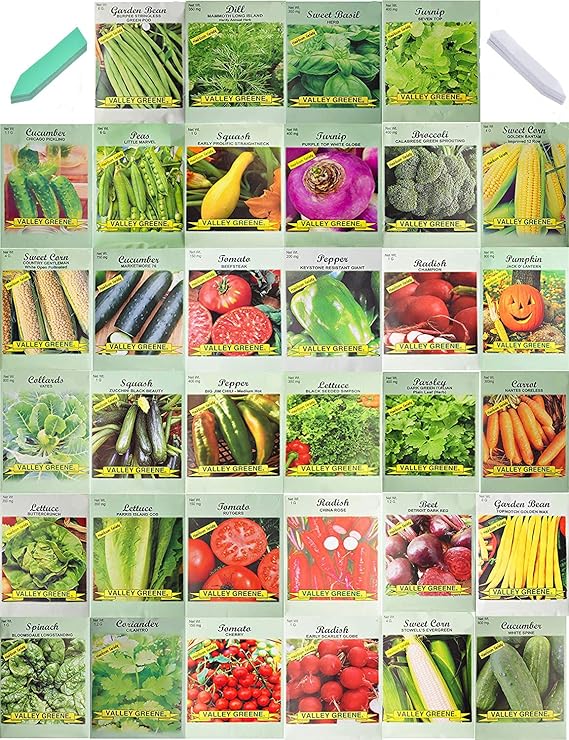 Set of 34 Pack Vegetable & Herb Seeds and 20 Impact Plant