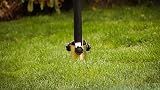 DIVCHI Heavy Duty Zinc Steel Screw Ground Spike for Rotary Washing Line Parasol view 2