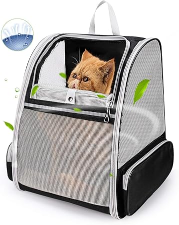 cat backpack amazon