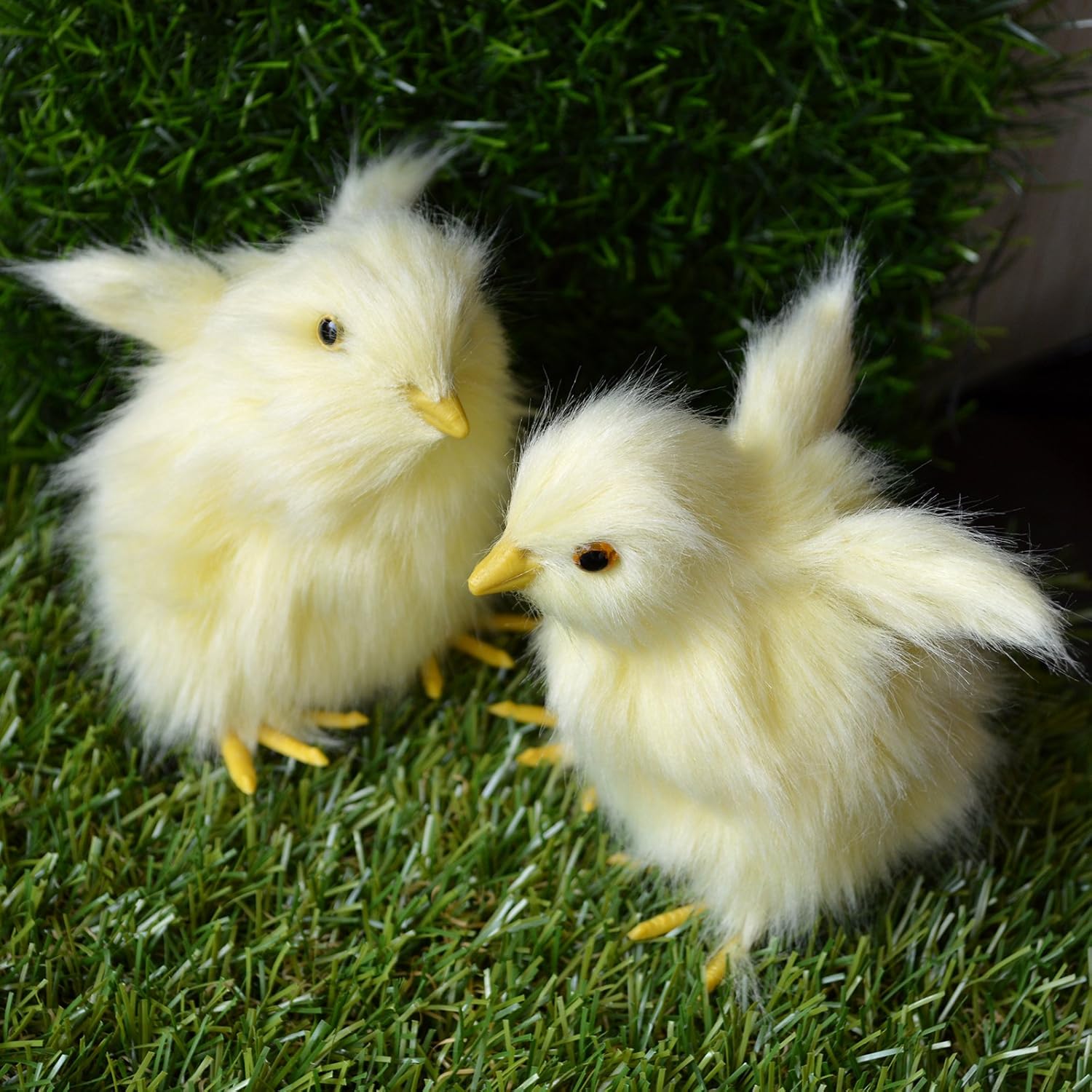 How To Raise Baby Chicks Into Coop Hens