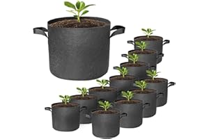HYDGOOHO Plant Grow Bags 1 Gallons-10 Pack Multi-Purpose Nonwoven Fabric Pots with Durable Handles,Outdoor Garden Plant Pots for Vegetables Fruits Flowers Herb Succulent Bonsai Plants (Black)