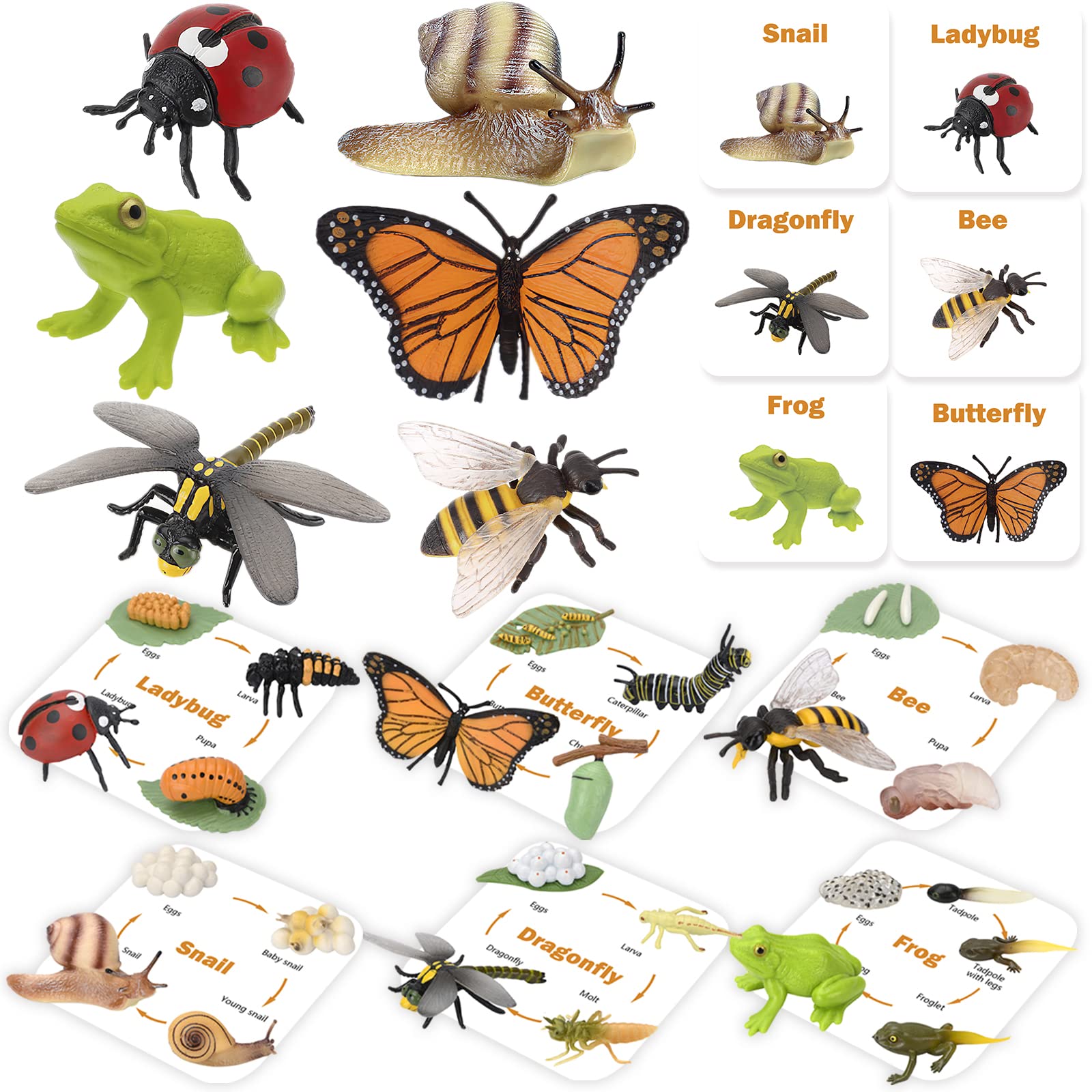 Montessori Animal Life Cycle Figurines, Plastic Miniature Educational Toys, 6 Count, Ages 3+