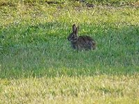 Review Image by Rhonda Farkas